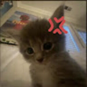 Meet your Posher, Jordyn